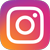 https://instagram.com/dorringolab