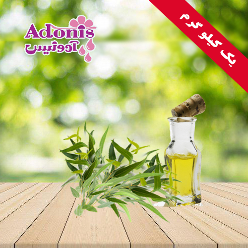 اکالیپتوس +اسانس اکالیپتوس +خرید اسانس اکالیپتوس +درین گلاب+آدونیس+ادونیس+