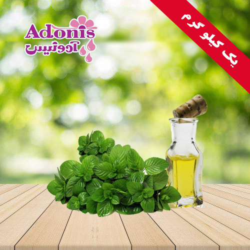 اسانس نعناع معمولی+نیرودهندگی+ تقویت کننده معده+بادشکن+ ضد تشنج+آدونیس+ادونیس+درین گلاب++اسانس+درین گلاب+درنوش